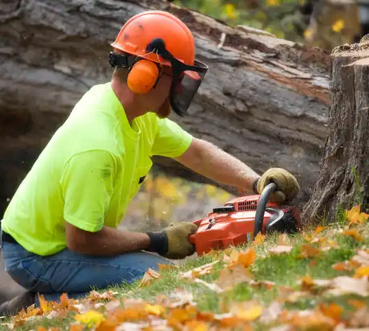 tree services East Quogue